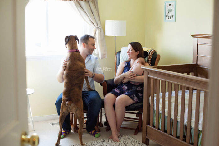newborn photography lifestyle portrait of parents and baby in nursery with dog by newborn photographer